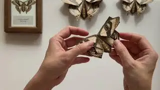 How to Fold a Golden Eye Moth Bookmark | Saturnia Aurea Printable Specimen Origami (No Glue)