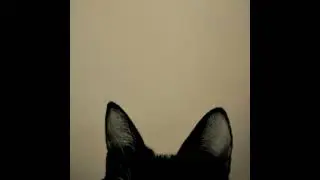 EA Manager Mode Auto Pure Game Sound Only