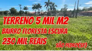 TERRENO DE 5 MIL M2, TODO ALAMBRADO E PLANO / A VENDA NO BAIRRO FLORESTA ESCURA EM SÃO PEDRO (SP)