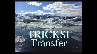 TRICKSI   Transfer