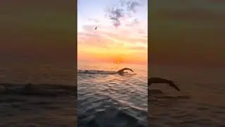us shakhes ko koyi gerra NAHI sektha jes chalna tokro se seka ho#motivation #youtubeshort #swimming