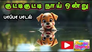 குட்டிகுட்டி நாய் ஒன்று | Kutty kutty na | pappa song #kidssongs #rhymes #babysongs @papparhymes