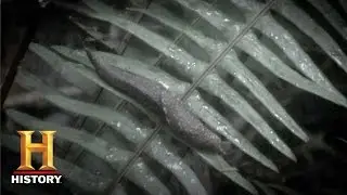 Alone: Ask Alan Kay: How Many Slugs? | History