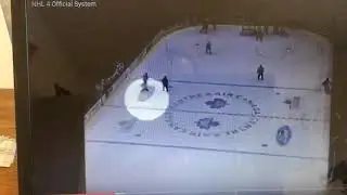 NHL Ref SK8ing  Arms move side-to-side and wide stride