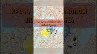 Кровь после лимона и медовой воды  #эксперименты #наука #зож