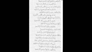AMINE TADHA 1