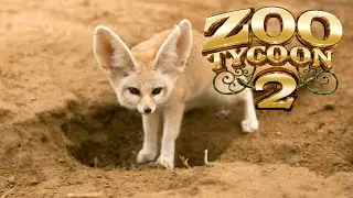 Zoo Tycoon 2: Fennec Fox Exhibit Speed Build