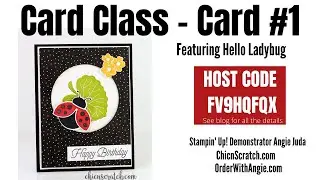 Hello Ladybug Class Card 1