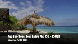 Apo Island and Apo Reef Natural Park Occidental Mindoro