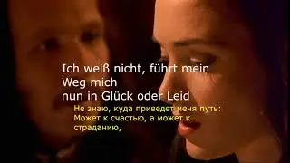 Lass mich dich nicht lieben (cover) + русский перевод
