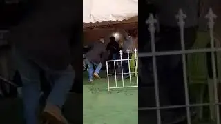 عرس حفيظ بن الاخضر غرايدية الصرية غار الدماء