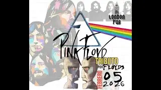 PINK FLOYD - Shine on you crazy diamond & Learning to fly (By FLOYDS)