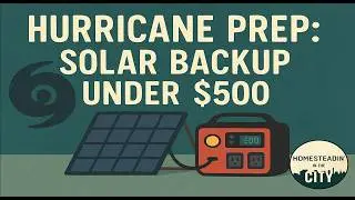 HURRICANE PREP: SOLAR BACKUP UNDER $500