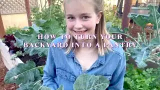 Top Organic Zero Waste Gardening Secrets ✨ || Grow a Thriving Plastic-Free Garden! 🌾