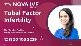 Understanding Tubal Factor Infertility: Explained by Dr. Sneha Sathe, IVF Doctor in Mumbai