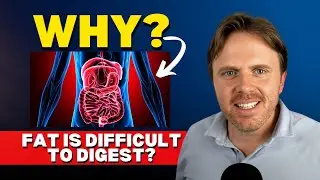 Boost Your Fat Digestion Today! Simple Steps for Better Gut Health & No More Bloating