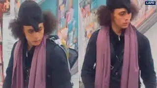 How LAPD apprehended suspected shoplifter who allegedly shot security guards outside Target