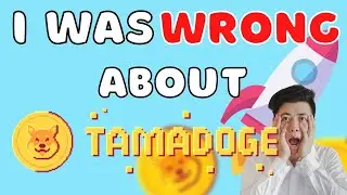 Я ОШИБАЛСЯ НАсчет ТАМАДОГЕ ($TAMA)