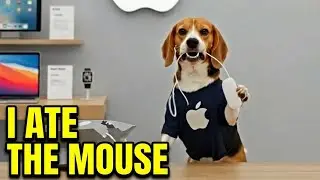 The Apple Store Hired Us 🍎 Genius Move?
