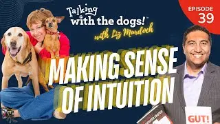 Liz Murdoch, Intuitive Animal Communication - Making Sense of Intuition - EP 39 (VIDEO PODCAST)