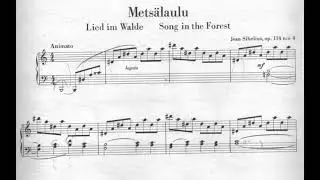 Jean Sibelius - 5 Sketches for Piano Op.114