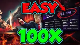 It's Time To Buy ALTCOINS!