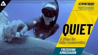 Quiet a Freediving Video by Keiko Conservation