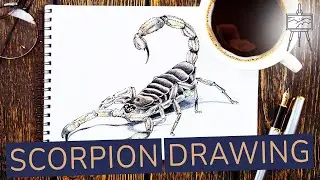 How to Draw a Scorpion | Step-by-Step Tutorial