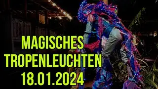 Magisches Tropenleuchten (Zoo Leipzig)