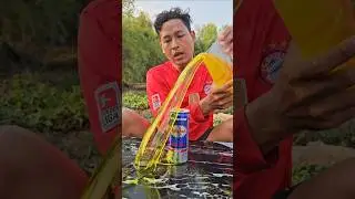 Wow! SIMPLE and USEFUL save water in forest #survival #camping #outdoors #lifehacks #bushcraft