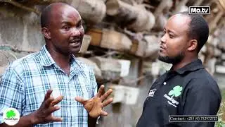 Nyuki wadogo waweza kukupa kipato cha juu