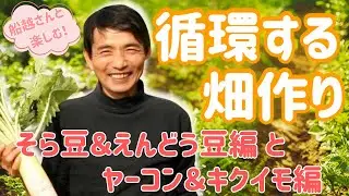 【野菜自身の力を信じる❗️】素材を信じるわらの土づくり✨そら豆＆えんどう豆編＋ヤーコン＆キクイモ編〜/わらの畑シリーズ 2025版【WaRa倶楽無/船越康弘】