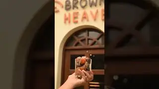 Introducing 