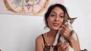 Sternensaaten meditation Aktivierung Venus
