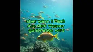 Fischaugen #natur #fisch