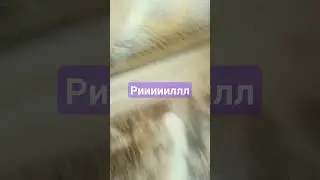 14 июня 2024 г.