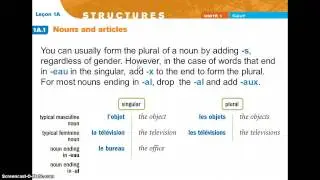 French nouns in the plural