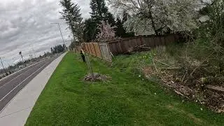 Long Strip of grass