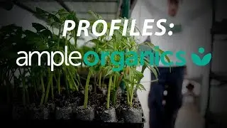 Profiles: Ample Organics
