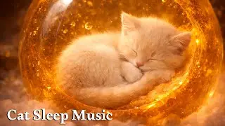 Gentle Music for Senior Cats 🐱 Deep Sleep & Comfort Relaxation