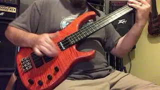 Modulus Q4 Turbo Orange Crush Slap