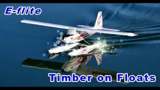 E-flite Timber on Floats - RCGroups Video Review