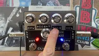 Shin’s Music Dumbloid with a Stratocaster bridge pickup