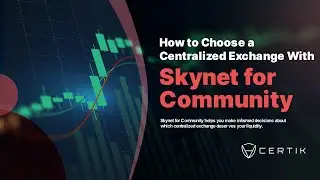 Как выбрать централизованную биржу со Skynet для сообщества | Сертик