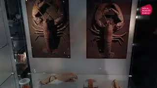 OO zone Natuurmuseum Brabant drone