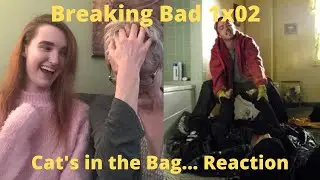 Breaking Bad Season 1 Episode 2 