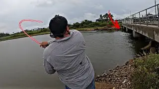 We Caught a Bridge MONSTER! *BIG FISH ALERT*