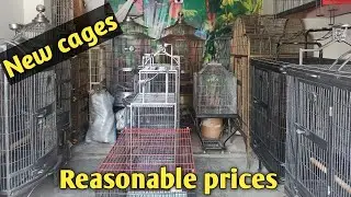 Visited cage shop in karachi |cage shop ||fancy cage works
