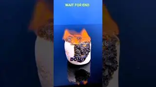 Facts That Will Save Your Life emgy 2024 | facts | #shorts #Facts #interesting facts