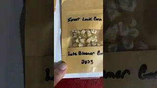 #VERY RARE SEED# Darrell Luck at #KAYE KITTRELL CHECK OUT Videos OF DARRELL ON KAYES UTUBE CHANNEL